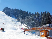 БОРОВЕЦ