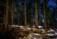 НЕВЕСТА, СПА-КОМПЛЕКС, ПАМПОРОВО НЕДВИЖИМОСТЬ В БОЛГАРИИ